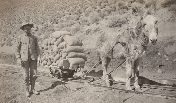 hauling cement