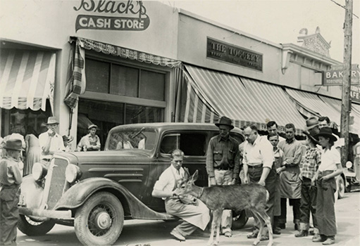 blacks store in Bishop