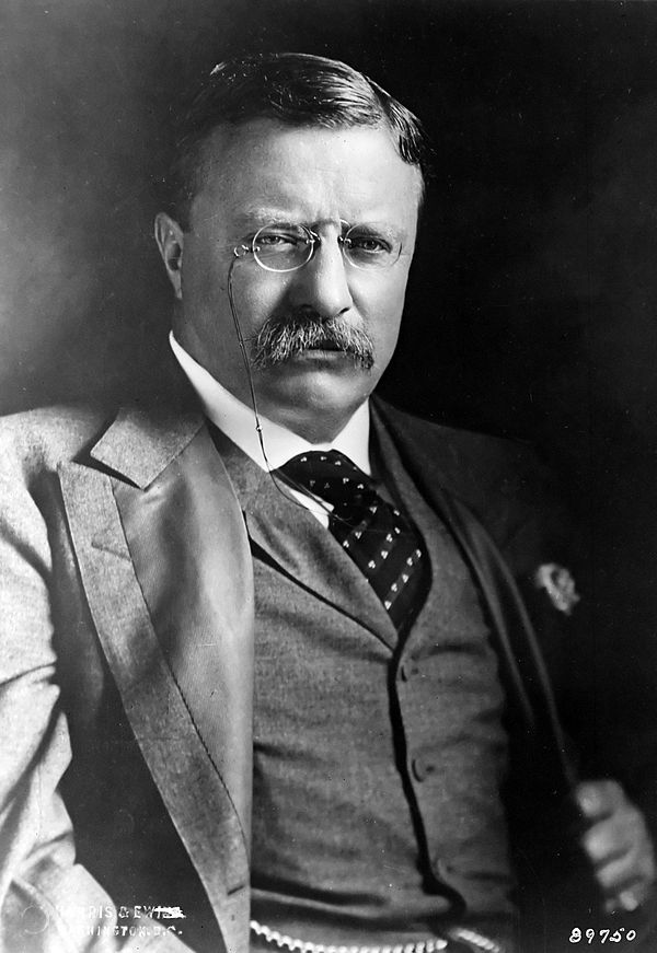 theodore roosevelt