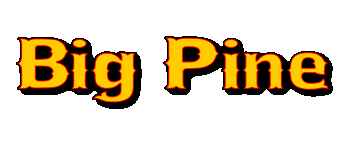 big pine