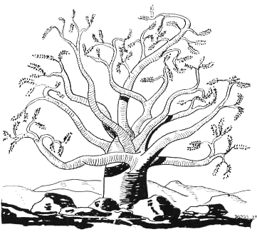 tree