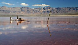 evaporation ponds