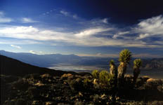 saline valley