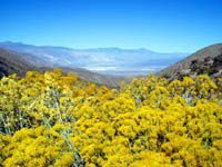 saline valley overlook