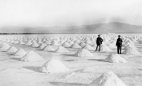 saline valley