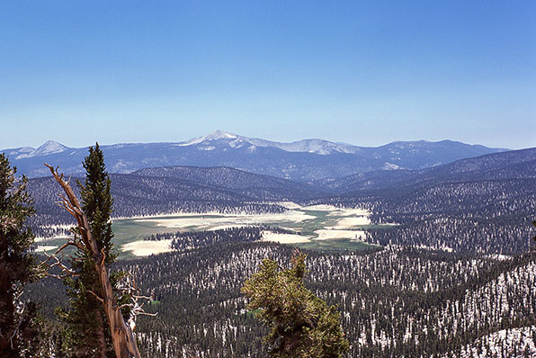 big whitney meadows