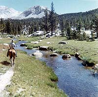 Along Rock Creek