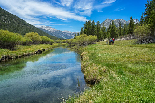 lyell canyon