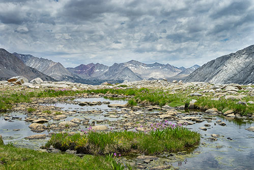 upper basin