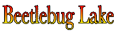 bettlebug