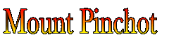 pincot