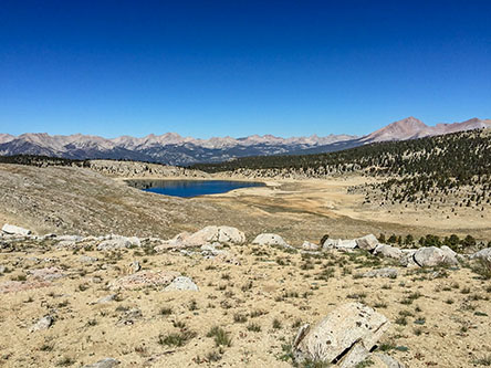 boreal plateau