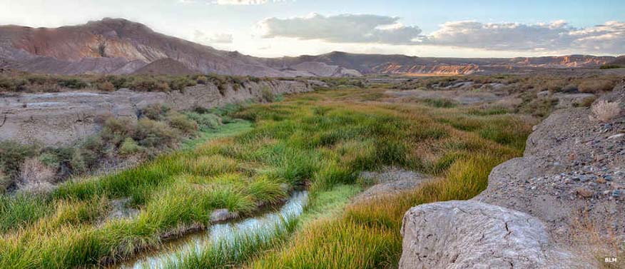 amargosa river