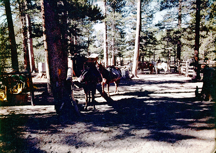 tunnel camp