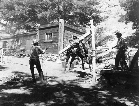 packing lumber