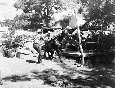 packing lumber