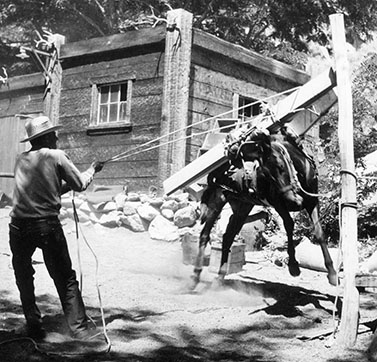 packing lumber