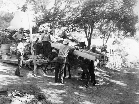 packing lumber