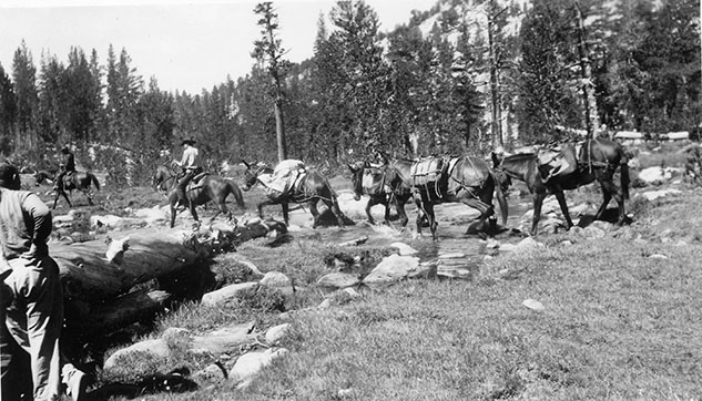 stream crossing