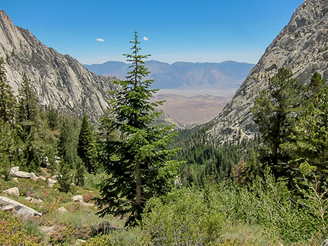 whitney trail