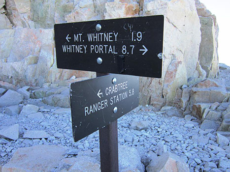 whitney trail