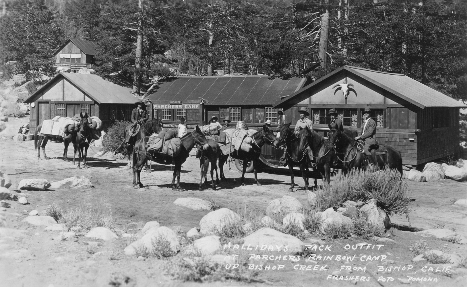 Packers Excursion Train Sierra Nevada Packers