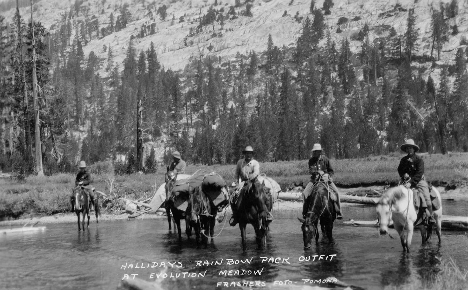 Packers Excursion Train Sierra Nevada Packers